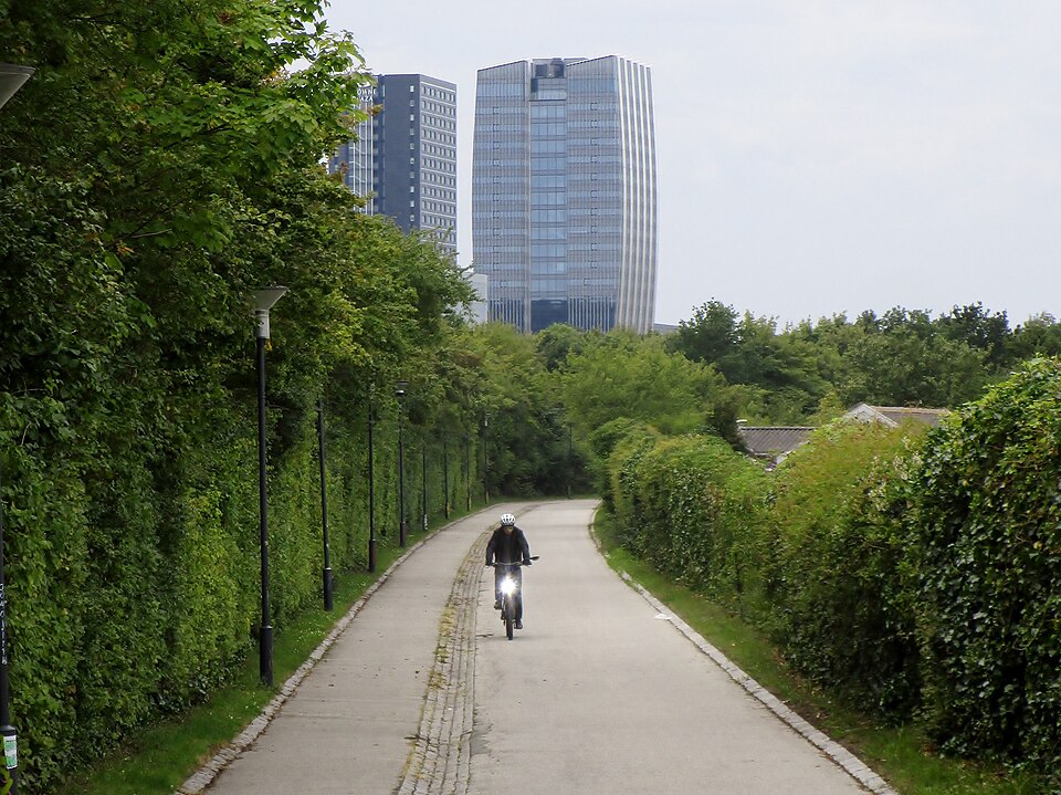 Illustration: Beginner Cycling Routes: Flat Paths and Scenic Trails