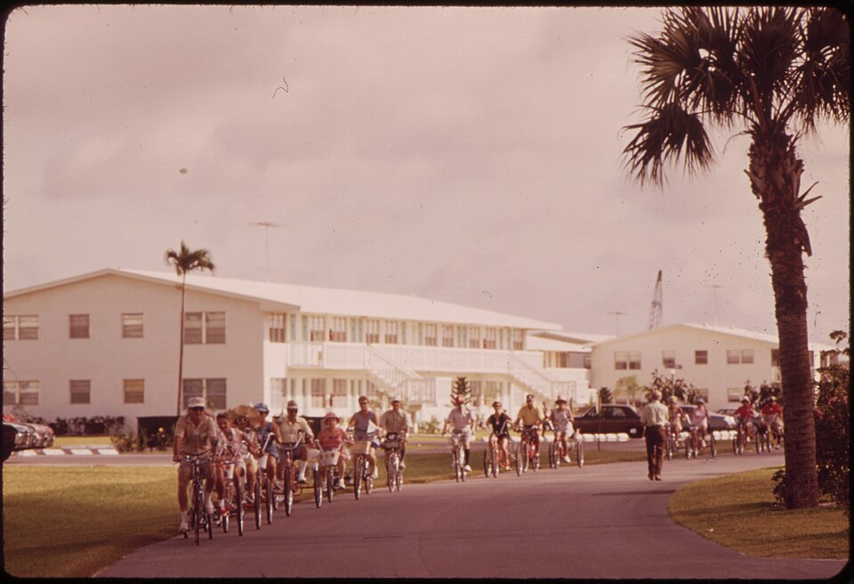 Illustration: Career Paths for Retired Professional Cyclists