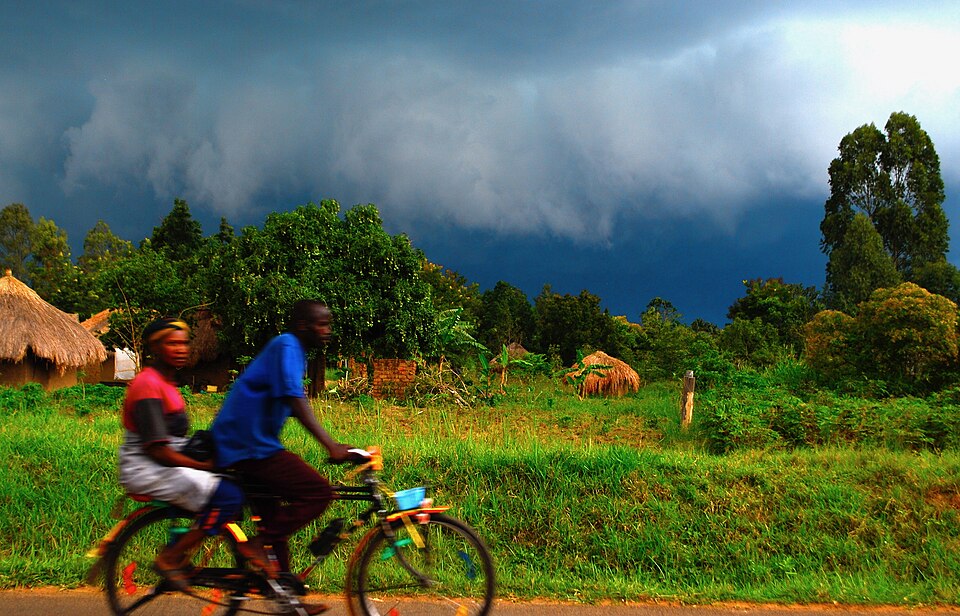 Illustration: Essential Climbing Techniques for Road Cyclists