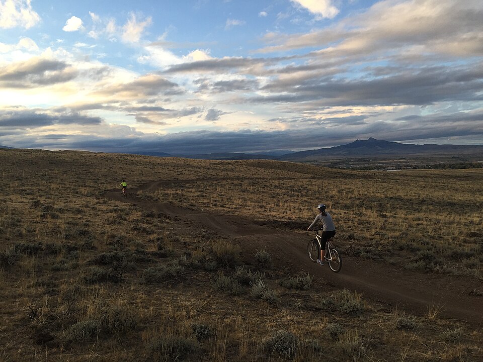 Illustration: How to Set Up Your Bike for Comfort and Safety Illustration: How to Set Up Your Bike for Comfort and Safety