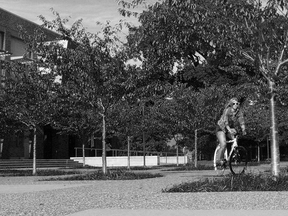 Illustration: Pro Tips for Choosing Women's Cycling Gear