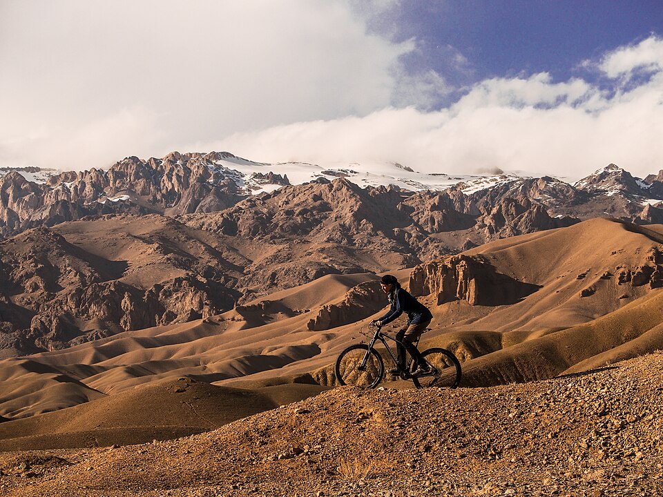 Illustration: The Core Team Structure: Leaders and Domestiques