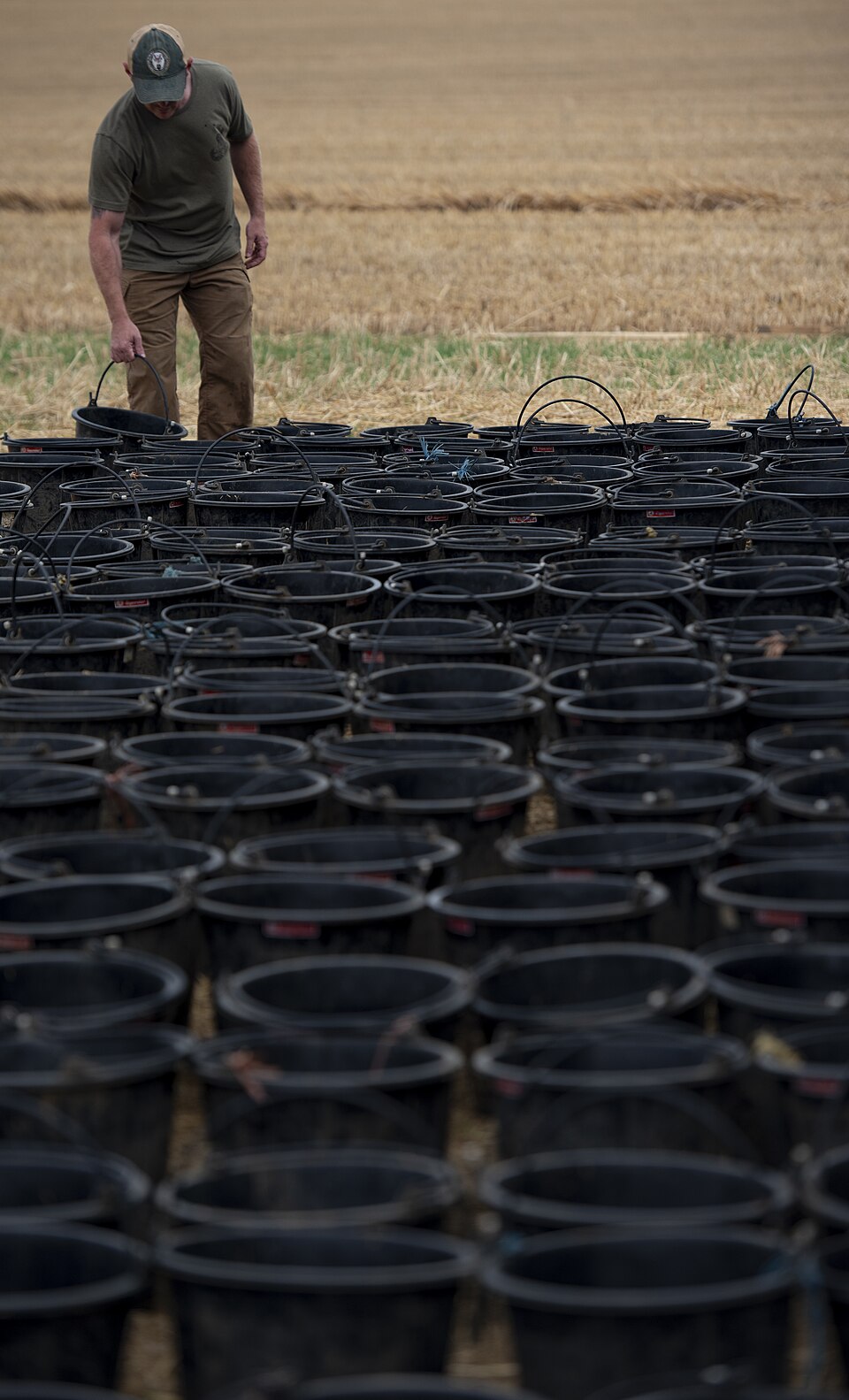 Illustration: Top Recovery Drinks Compared: Nutritional Analysis and Benefits