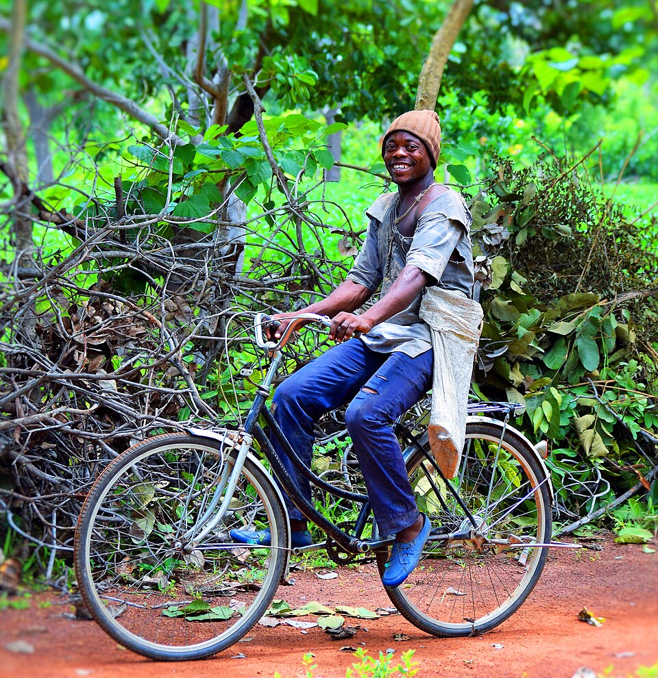 Illustration: What Are the Major Types of Cycling Achievements?