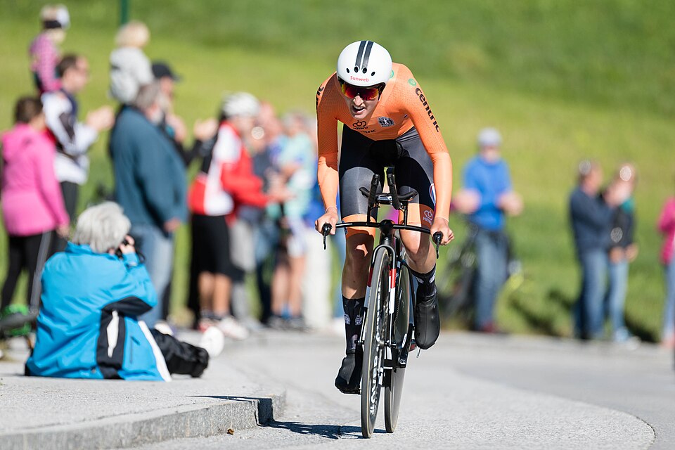 Illustration: What Are the Top Road Bike Brands and Models of 2024?