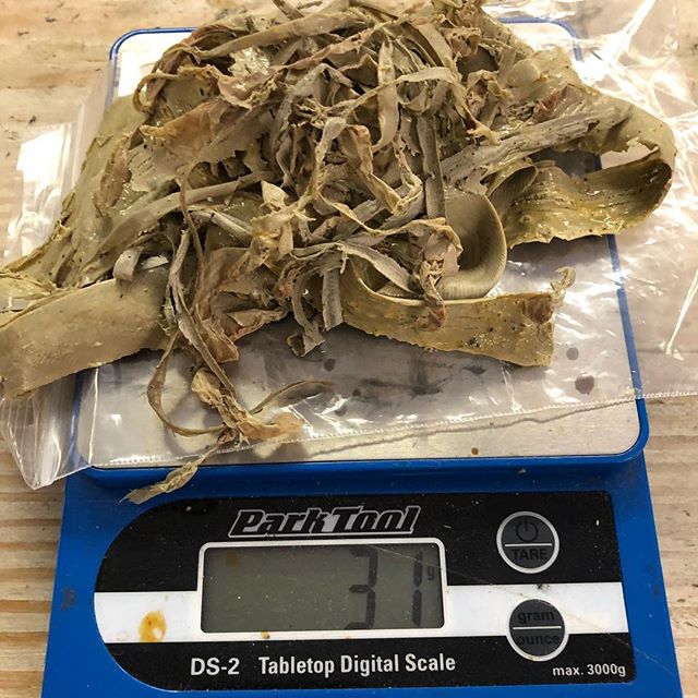 Illustration: What sealant volume and maintenance do tubeless tires need?