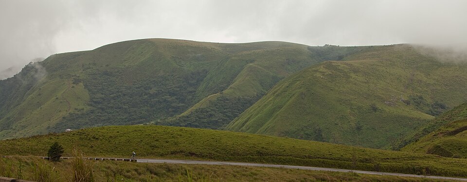 Illustration: Zone 2 Training: Building Your Aerobic Engine